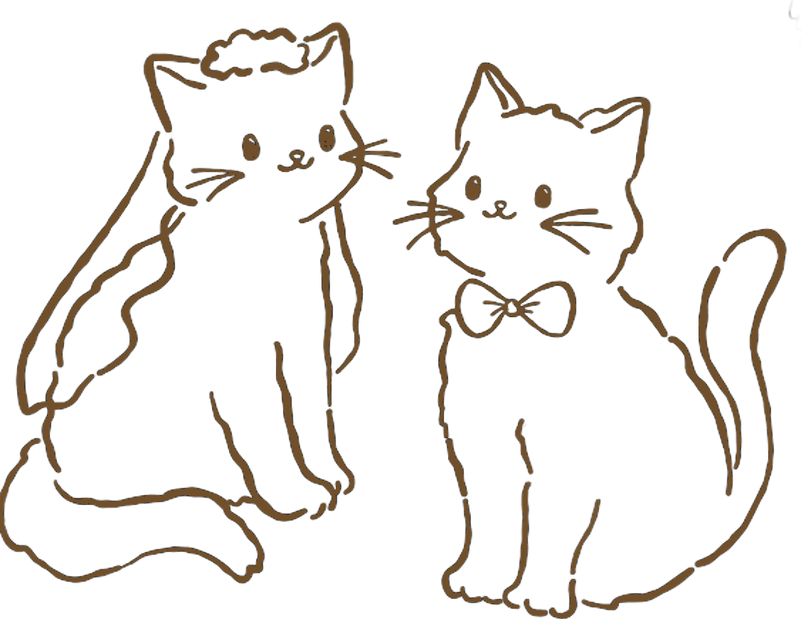 Котики